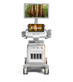 ACUSON Redwood